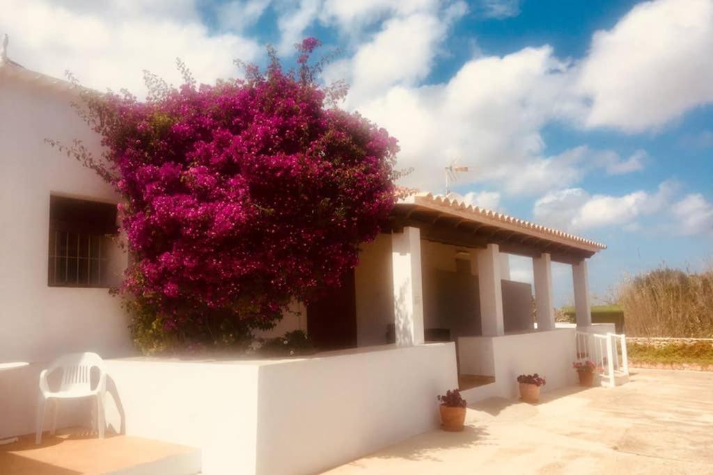 Casa Rural Es Cap De Barbaria San Francisco Javier Buitenkant foto